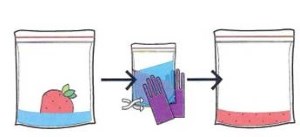 Learning Hands-On: Breaking Cells Open & Extracting DNA